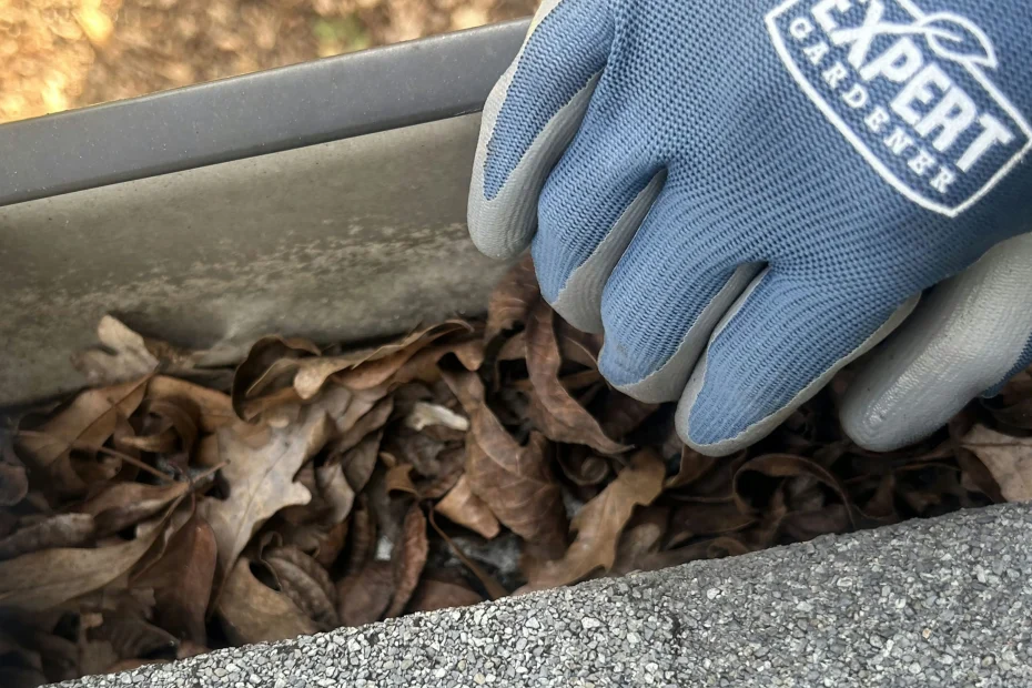 Glenarden Gutter Cleaning